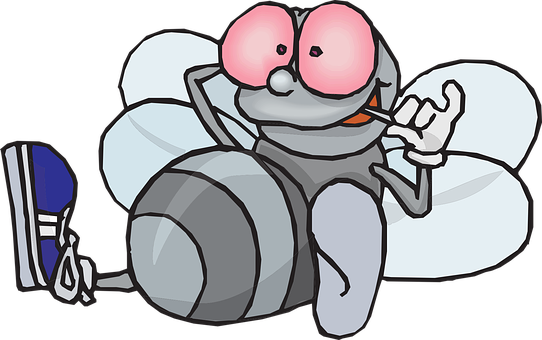 A chilled out housefly